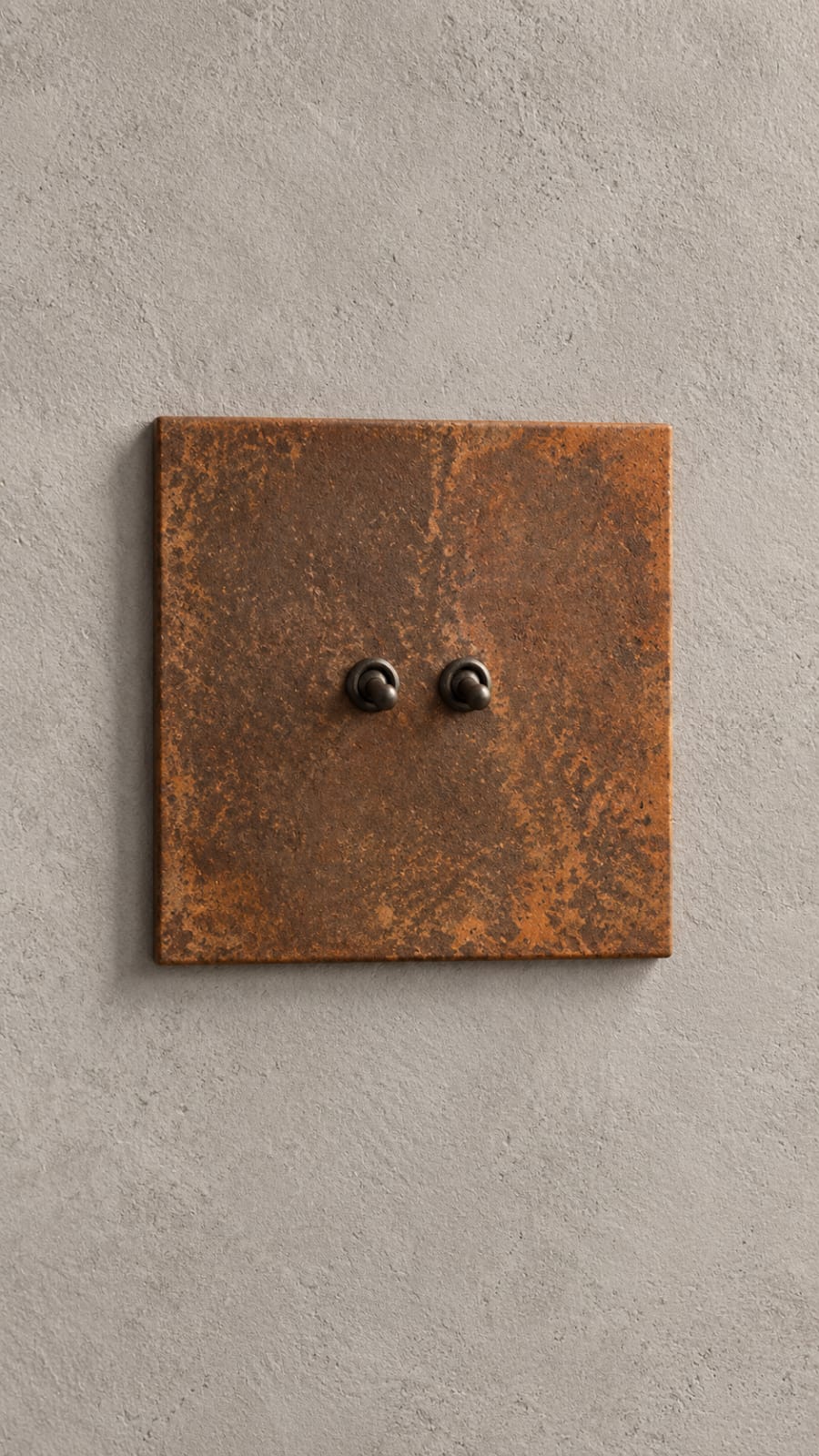 Interrupteur double effet rouille - vue 2