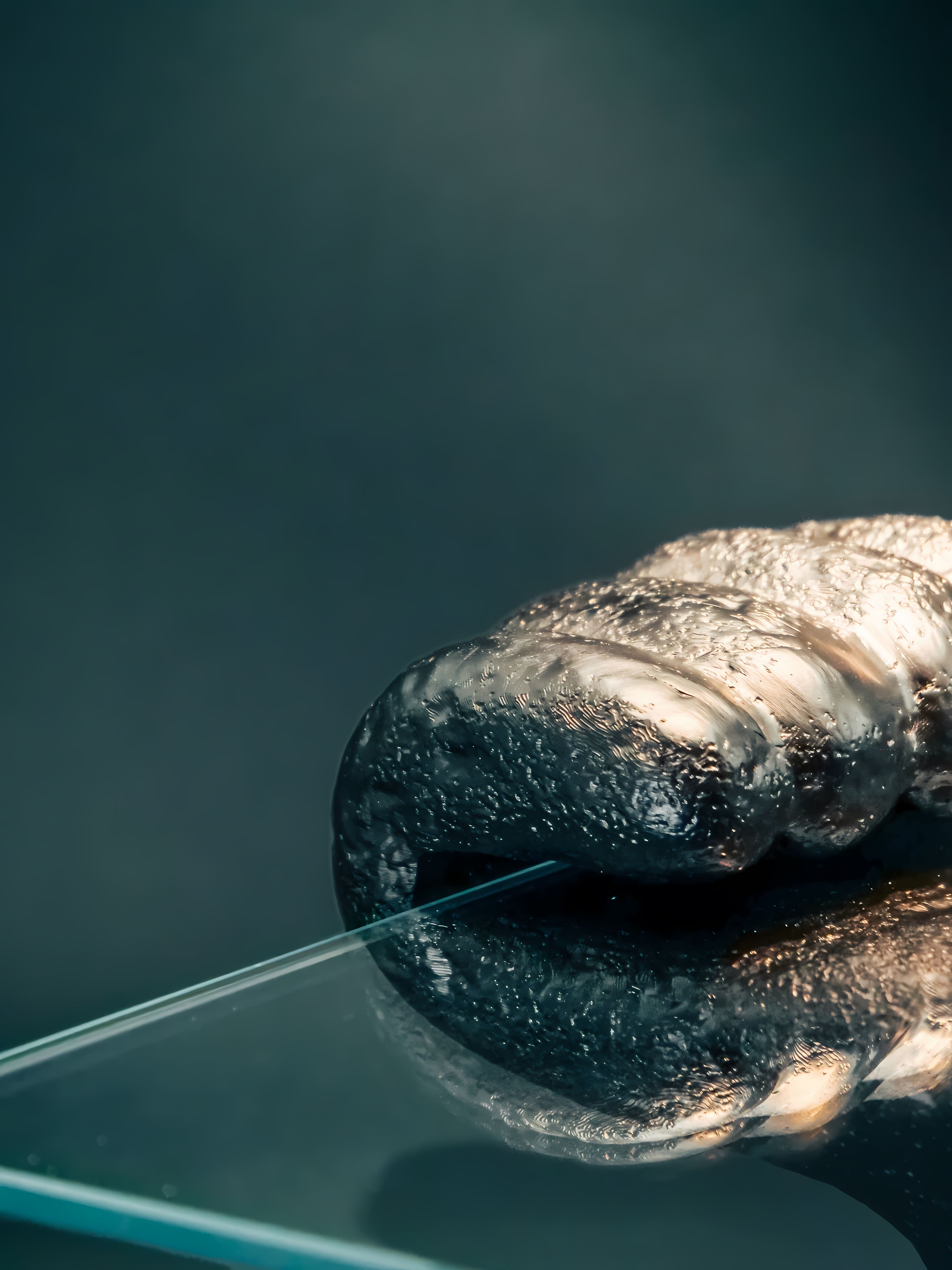 Décoration "Titan Silver" - vue 3