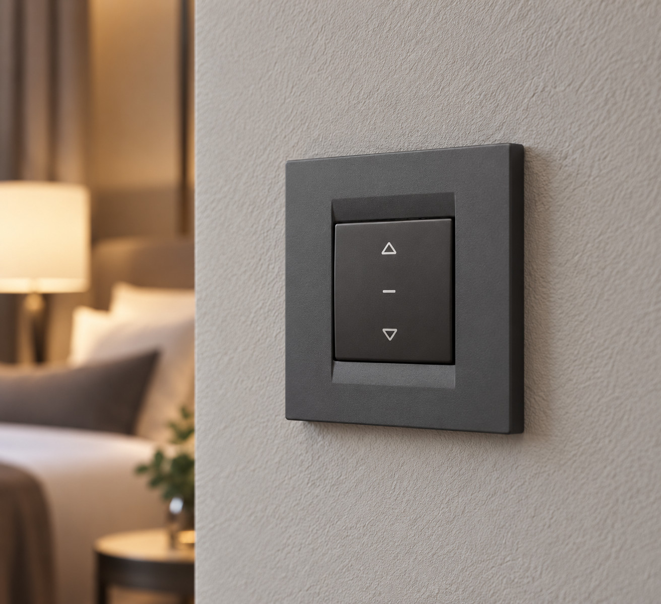 Commande montéedescente anthracite - vue 3