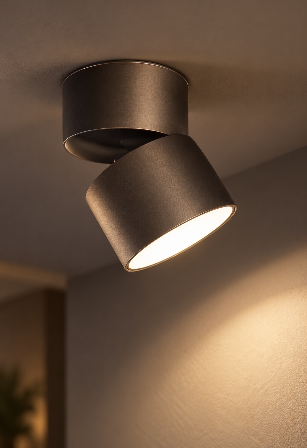 Spot de plafond cylindrique orientable - vue 5