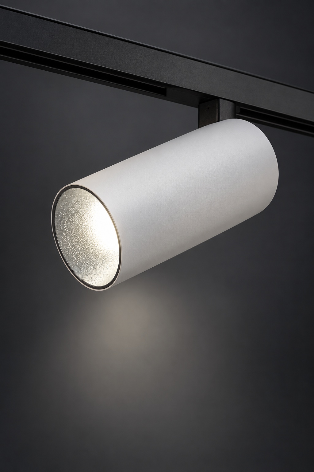 Spot cylindrique blanc sur rail